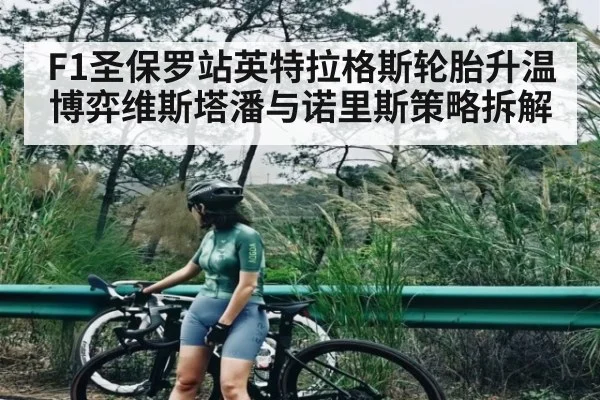F1圣保罗站英特拉格斯轮胎升温博弈维斯塔潘与诺里斯策略拆解 | HAHA SPORTS